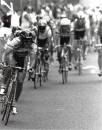 /gallery/data/511/thumbs/Milkrace1991.jpg