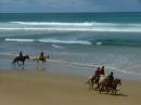 /gallery/data/511/thumbs/horse-riding_Aireys_Inlet.JPG